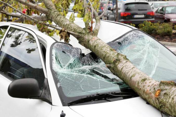 tree fallen on car.jpg.838x0_q67_crop-smart